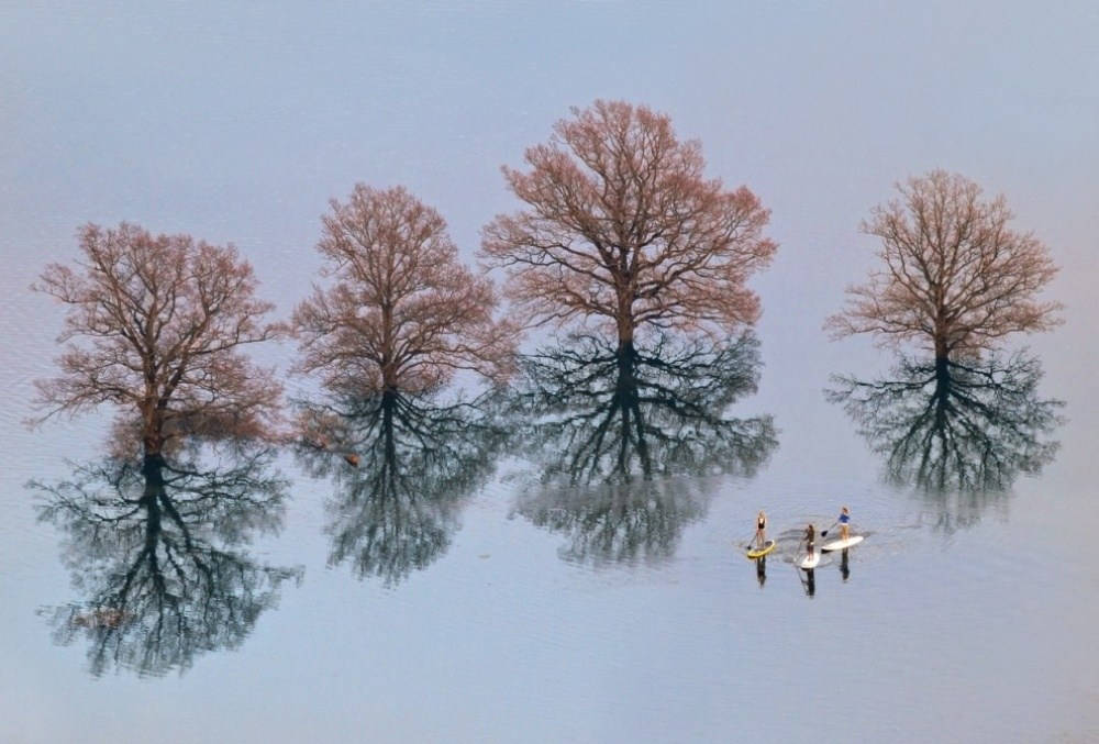 Picture 9 of 26 unbelievably perfect images
