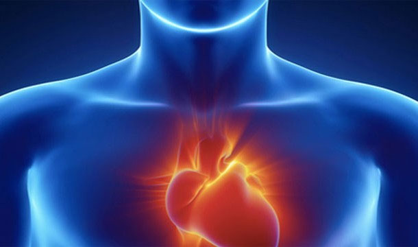 Picture 11 of 27 interesting facts about your heart