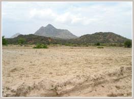 Picture 1 of 28% of Vietnam's land area is deserted