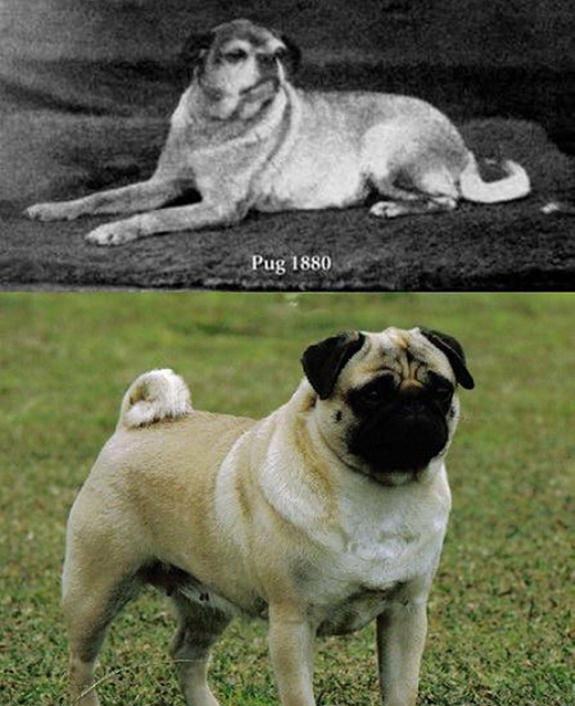 Picture 17 of 29 photos contain little known facts in the world