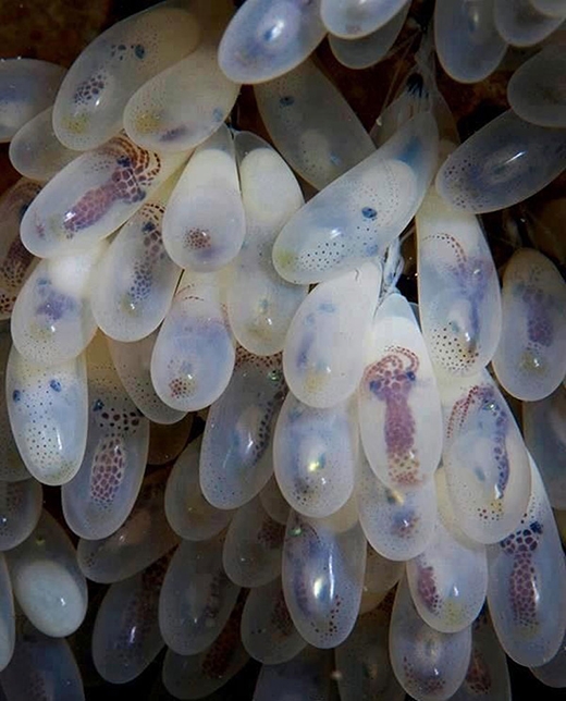 Picture 18 of 29 photos contain little known facts in the world