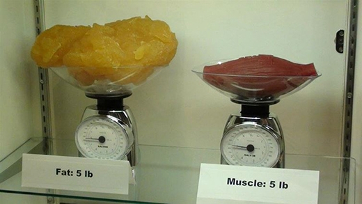 Picture 22 of 29 photos contain little known facts in the world