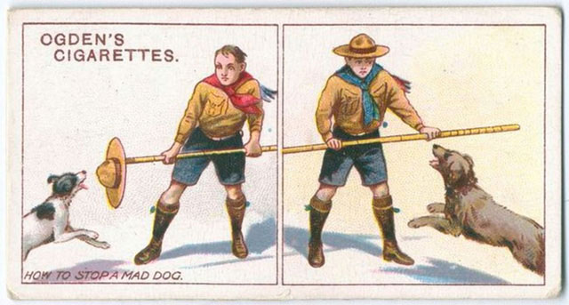 Picture 14 of 29 tips from hundreds of years ago but still useful in modern life (Part 2)