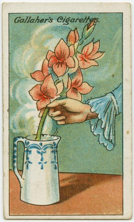 Picture 3 of 29 tips from hundreds of years ago but still useful in modern life (Part 2)