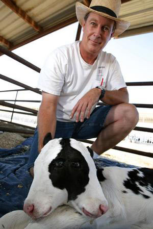 Picture 1 of 2-head calf in America