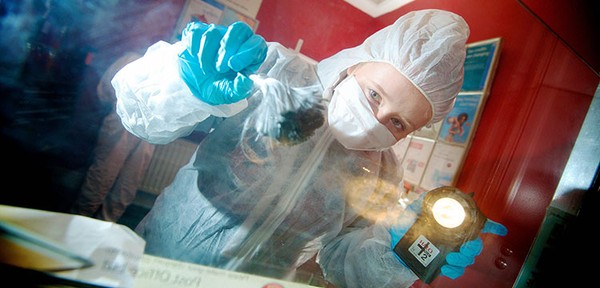 Picture 5 of 3 basic methods of determining criminal traces