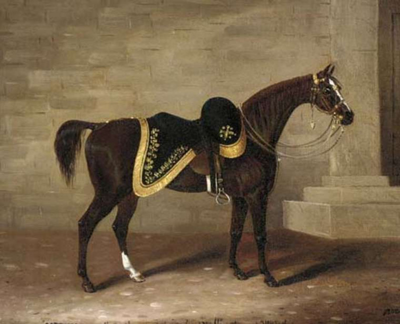 Picture 3 of 3 famous steed in history