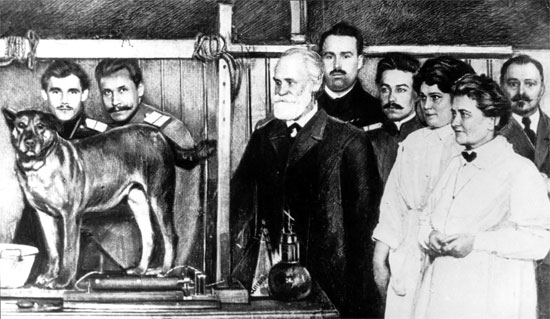 3 'legendary' dogs in world history images 1