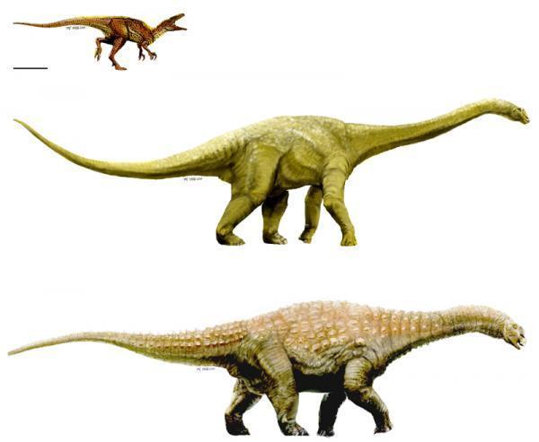 Picture 1 of 3 new fossils bring Australia back to the dinosaur map