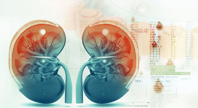 Picture 2 of 3 warning signs of inflammatory kidney disease, not to develop into kidney failure you are new