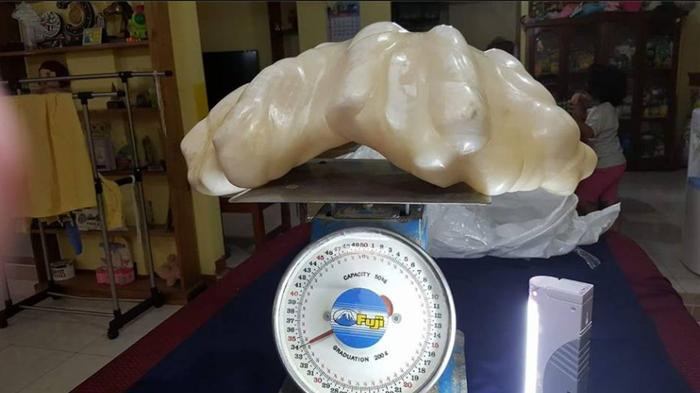 Picture 1 of 34kg pearl blocks in Filipino fisherman's house