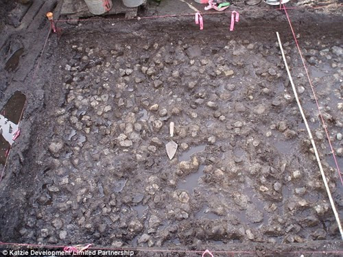 3800 year old potato garden excavation images 3