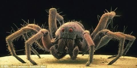 Picture 6 of 3D image of 'tiny monsters'