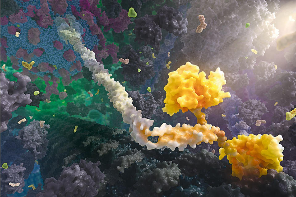 Picture 1 of 3D painting is brilliant inside the human body