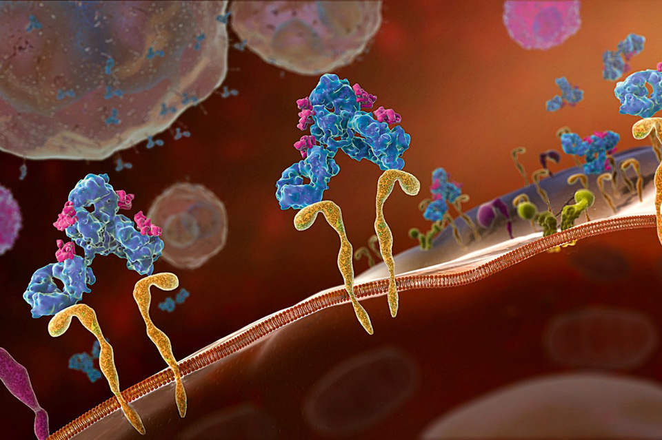 Picture 11 of 3D painting is brilliant inside the human body
