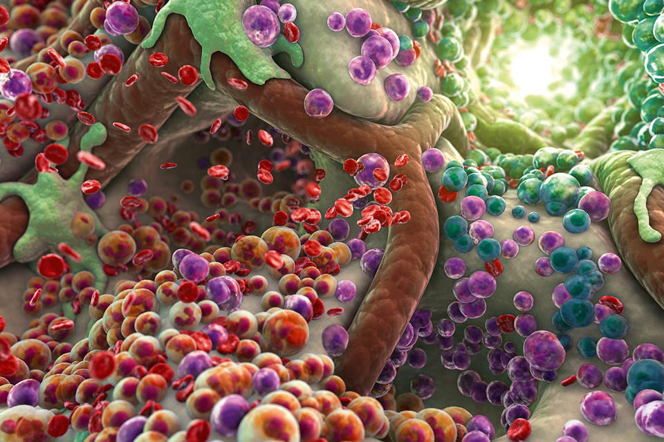 Picture 2 of 3D painting is brilliant inside the human body
