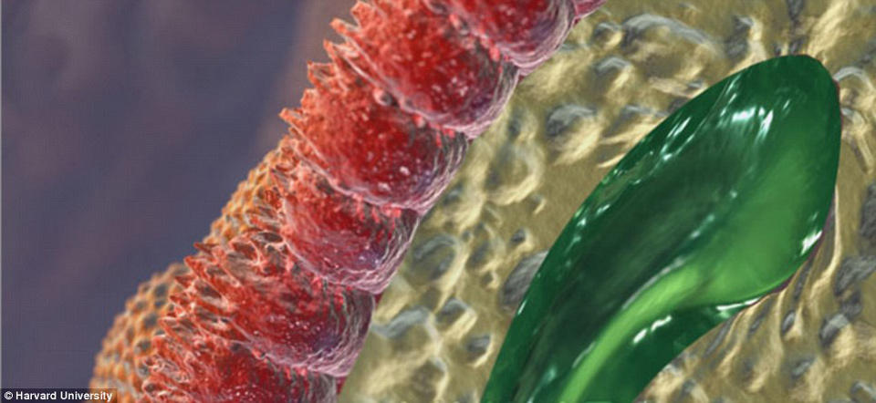 Picture 6 of 3D painting is brilliant inside the human body
