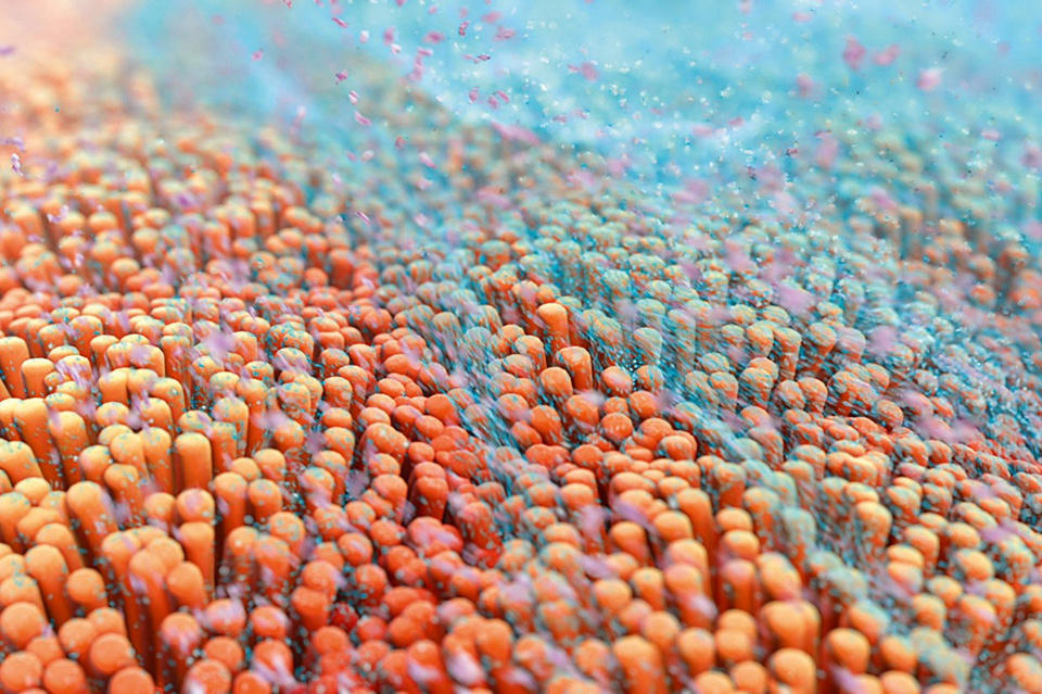 Picture 7 of 3D painting is brilliant inside the human body