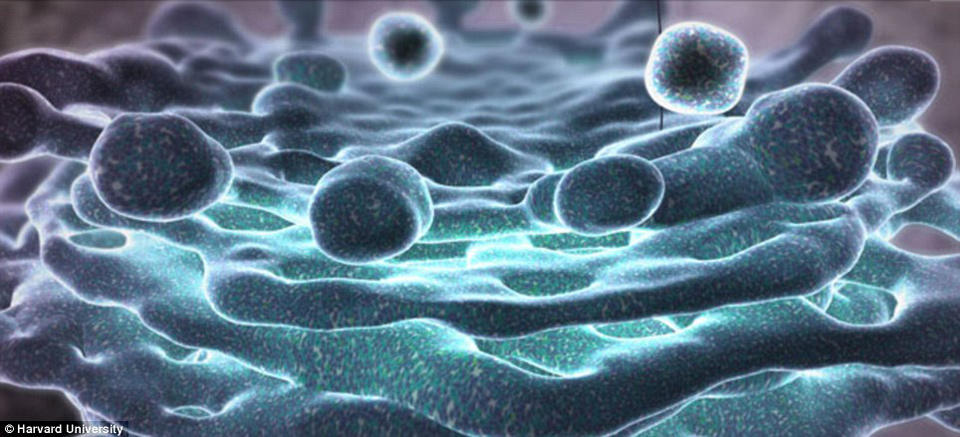 Picture 8 of 3D painting is brilliant inside the human body