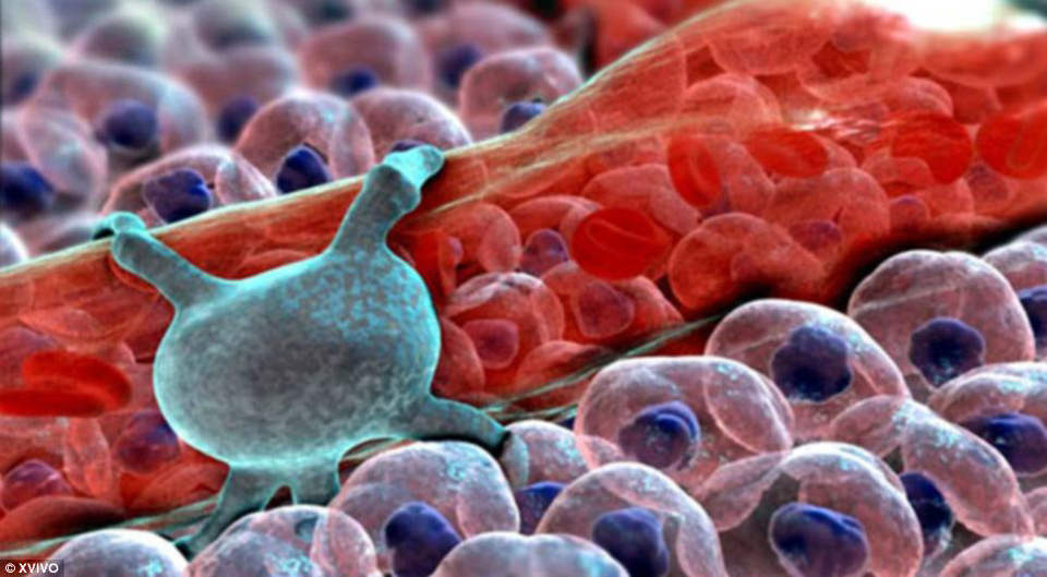 Picture 9 of 3D painting is brilliant inside the human body