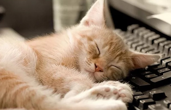 Picture 5 of 4 arguments for lazy people have been proved by science