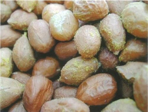 Picture 4 of 4 easy-to-eat foods, many people eat and boil water 10 times to sterilize it is useless
