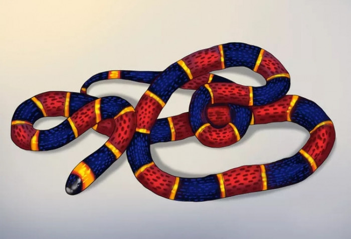 Picture 8 of 4 folk tips that make snakes will not dare to get close to your home