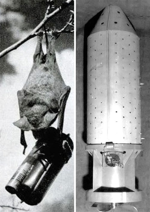 Picture 4 of 4 historical facts that many of us don't know about