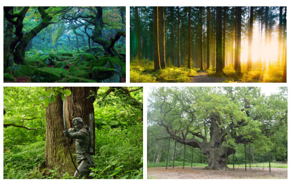 Picture 8 of 4 wonders intersecting between myths and real life: Imagine fiction that is 100% real