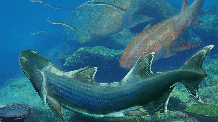 Picture 1 of 420 million-year-old armored fossil in China