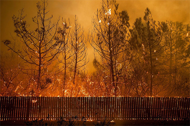 Picture 10 of 44 people died, California forest fire has never been so horrifying