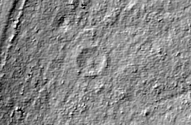 Picture 2 of 4,500 year old stone circle discovered in the forest