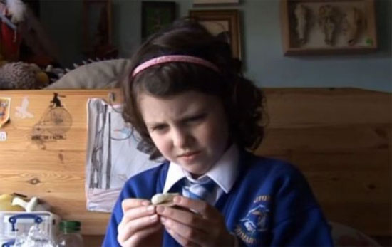 Picture 1 of 4-year-old girl found new dinosaurs