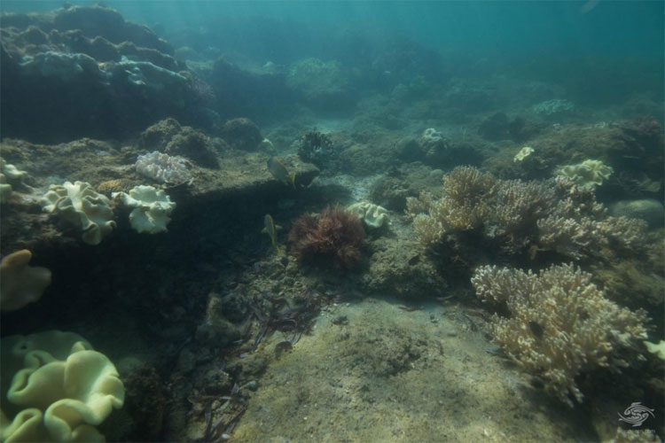 Picture 1 of 5 ancient cities were discovered after thousands of years missing