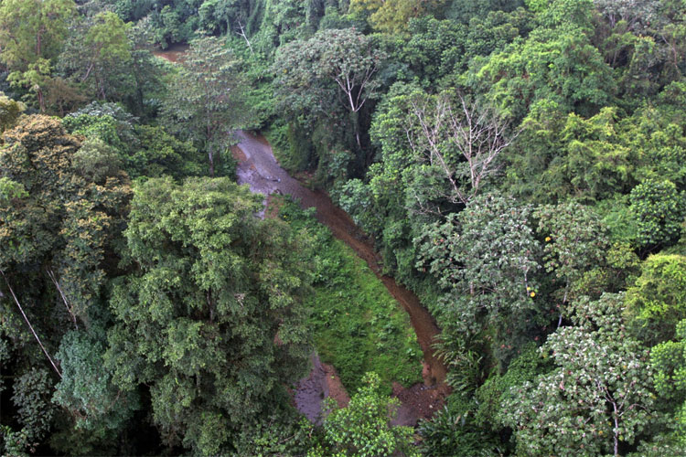Picture 2 of 5 ancient cities were discovered after thousands of years missing