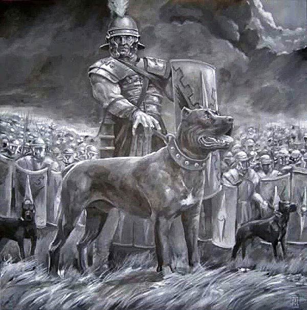 Picture 3 of 5 army of 1-0-2 animals in the ancient war