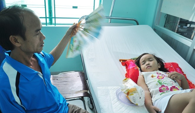 Picture 1 of 5 deadly misconceptions about dengue