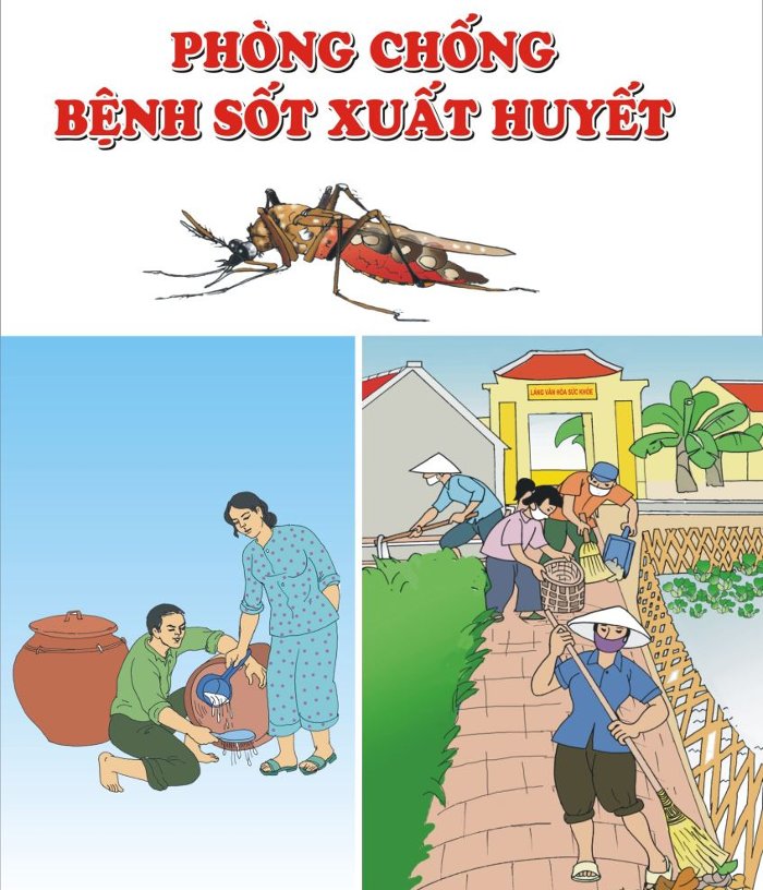 Picture 2 of 5 deadly misconceptions about dengue
