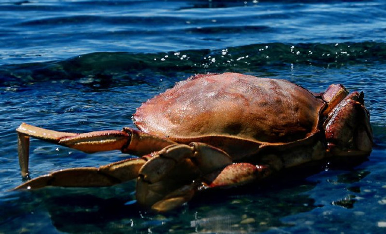 Picture 5 of 5 facts proving that the ocean is moving in a way that people cannot understand