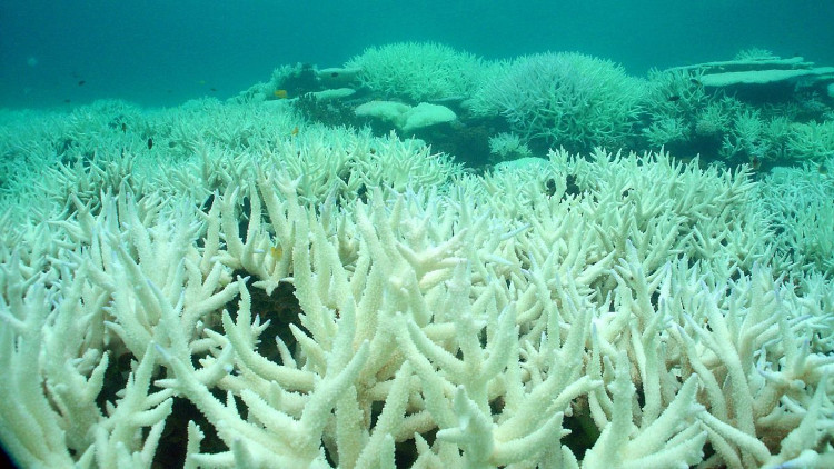 Picture 6 of 5 facts proving that the ocean is moving in a way that people cannot understand