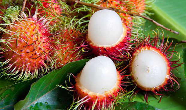 Picture 2 of 5 groups of people should not eat rambutan lest disease, procession into the body