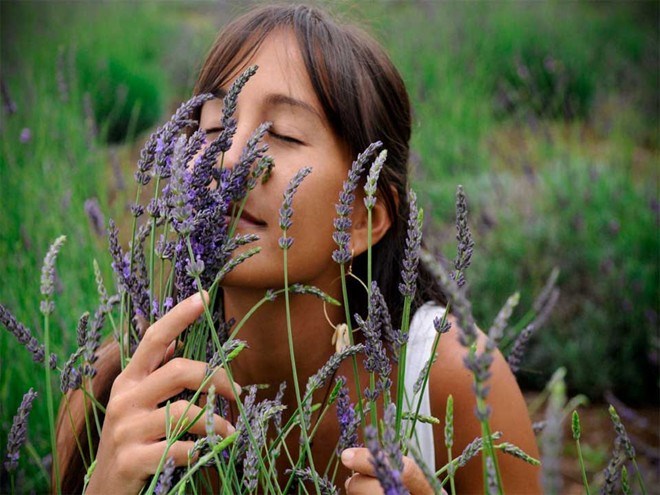Picture 13 of 5 most famous lavender valleys in the world