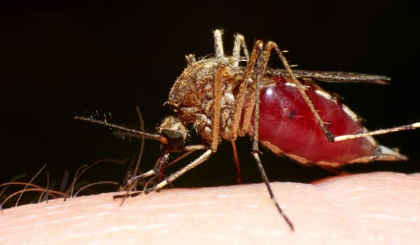 Picture 1 of 5 things to know about a deadly virus that is not cure