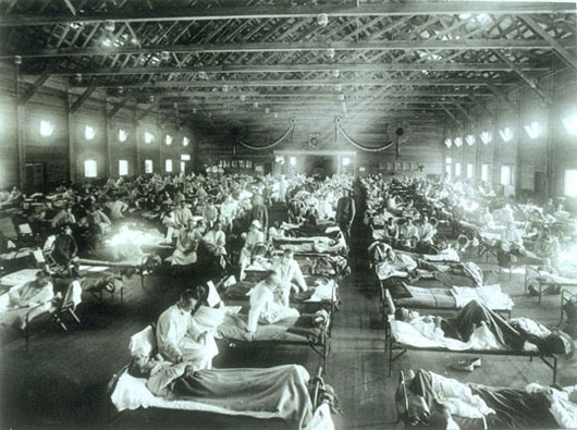 Picture 1 of 5 types of epidemics across the century