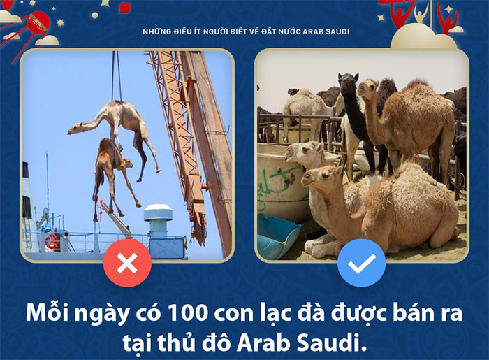 Picture 3 of 5 unexpected little things about Saudi Arabia
