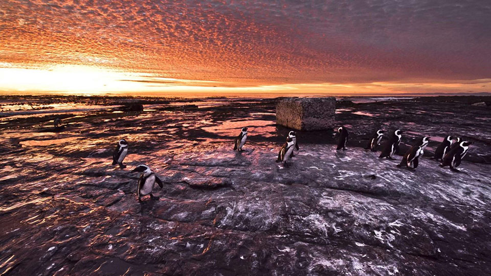 Picture 22 of 50 outstanding science and technology images in 2015 (Part I)