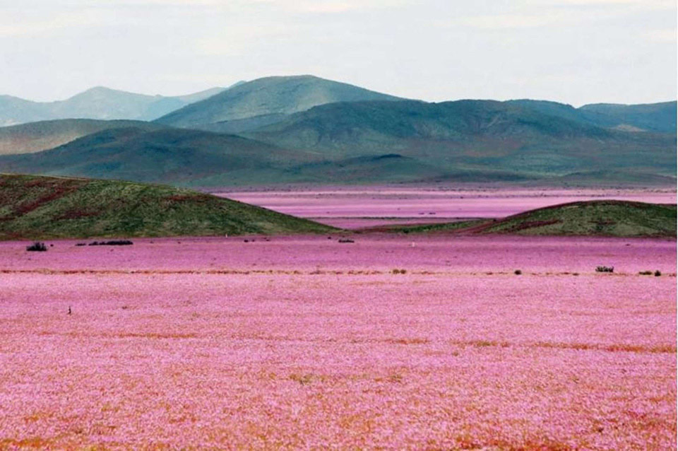 Picture 25 of 50 outstanding science and technology images in 2015 (Part I)
