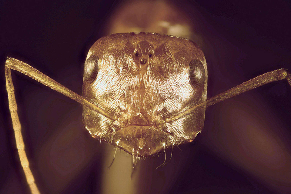 Picture 7 of 50 outstanding science and technology images in 2015 (Part I)