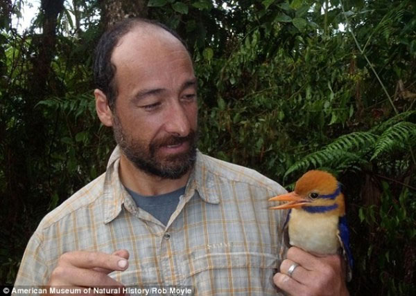 Picture 1 of 50 years to find precious birds and then kill