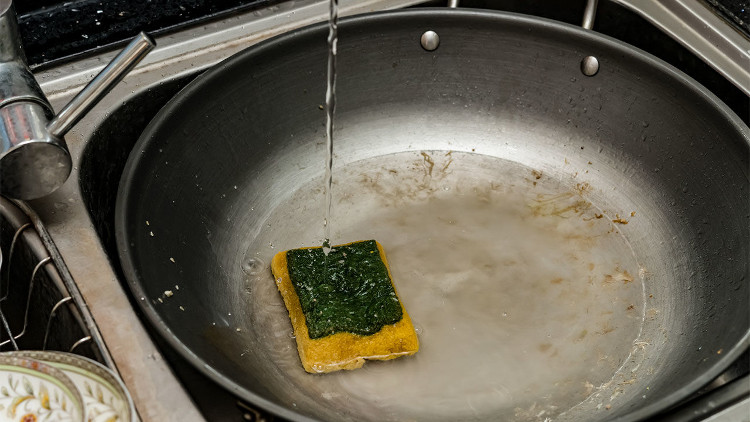 Picture 1 of 50,000 billion bacteria in ... dishwashing pieces